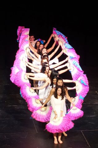 Celebration of Diversity Show Promotes Various Cultures at the Park