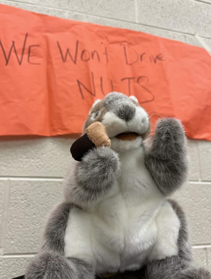 A stuffed squirrel is used to promote the “Don’t Drive Nuts” campaign.