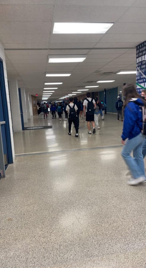 Students walk between classes at Salem High School.

Photo Credit: Will Pryce