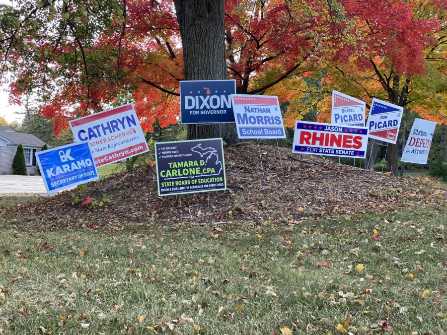 Signs+promoting+a+slew+of+Republican+and+conservative-leaning+candidates+sit+atop+a+hill+near+Danbridge+Street+in+Plymouth+Michigan.+October+10%2C+2022.+
