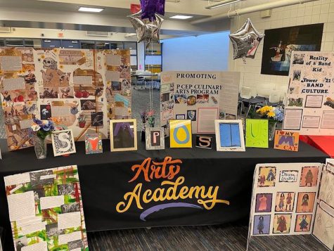 Class of 2021 Capstone Symposium display. May, 2021.
