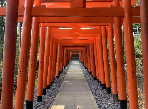Red torii gates, a very recognizable Japanese object, show the path to the worship hall. January 9, 2023.