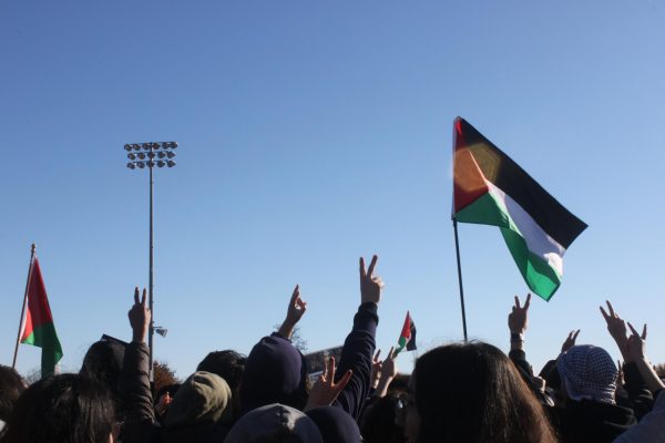 Students hold up peace signs while others raise the Palestinian flag. November 1, 2023. 
