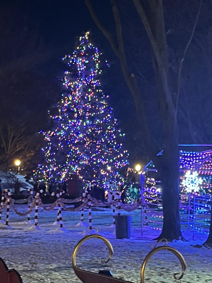 The Kellogg Park Town Square Christmas tree acts as the centerpiece to the “Walk of Trees” display in downtown Plymouth. Dec 15, 2024