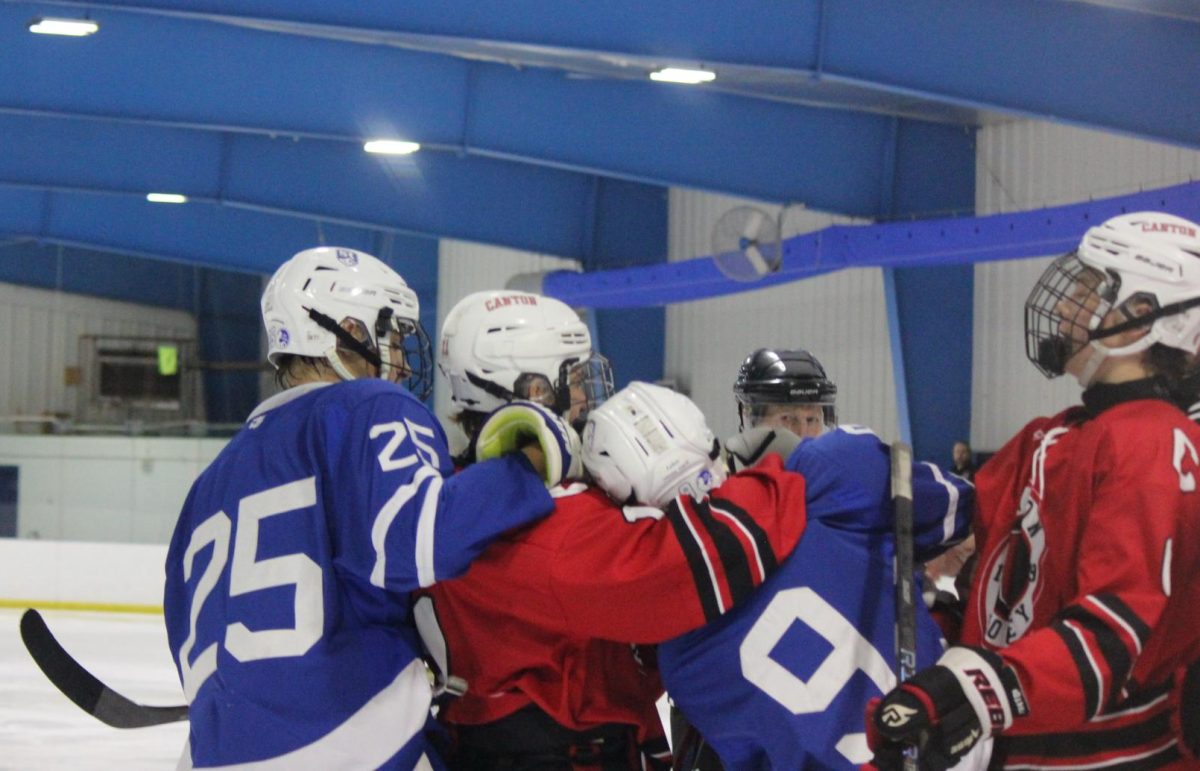 A fight breaks out after Salem player Karsen Patel gets shoved into the Canton net. Dec. 8, 2024