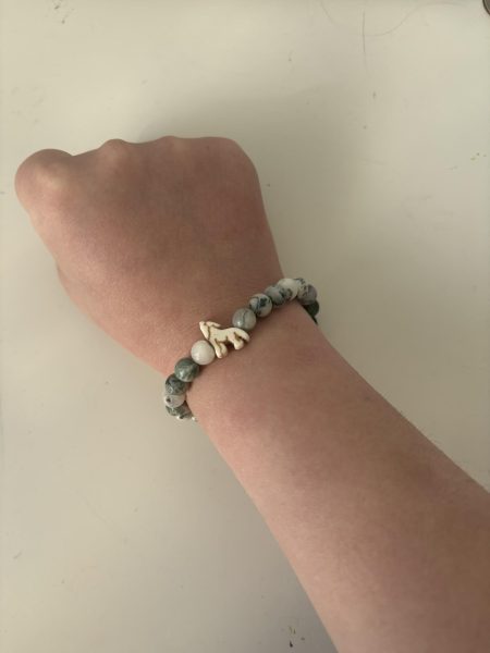 The Scout Bracelet is a product of Fahlo, a wildlife company, that is used to track an animal to draw awareness to animal populations by endangered extinction. March 11, 2025.