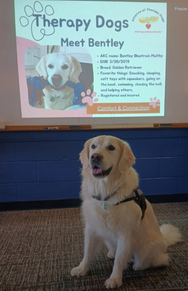 Bentley, the golden retriever therapy dog, sits in front of Nellie Maltby’s classroom after the presentation has been given. October 13, 2025